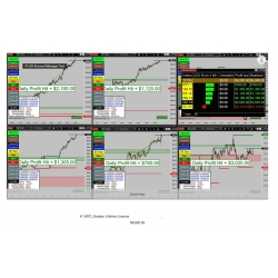 WST Scalper Fully Automated for NinjaTrader 8-TWST Trader